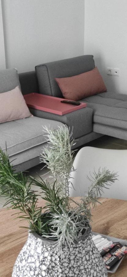 Elena Apartments オリンピアダ エクステリア 写真